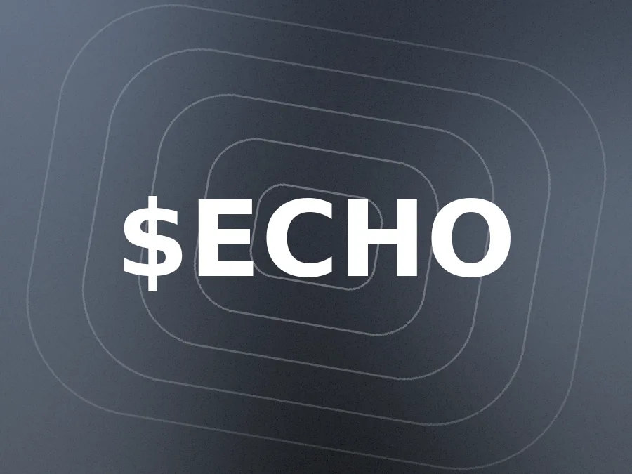 Placeholder artwork for the $ECHO example
